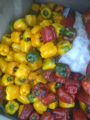 JAE's Fresh Veggies