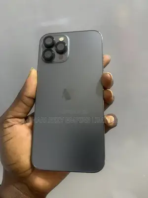 Apple iPhone 12 Pro Max 128 GB Gray
