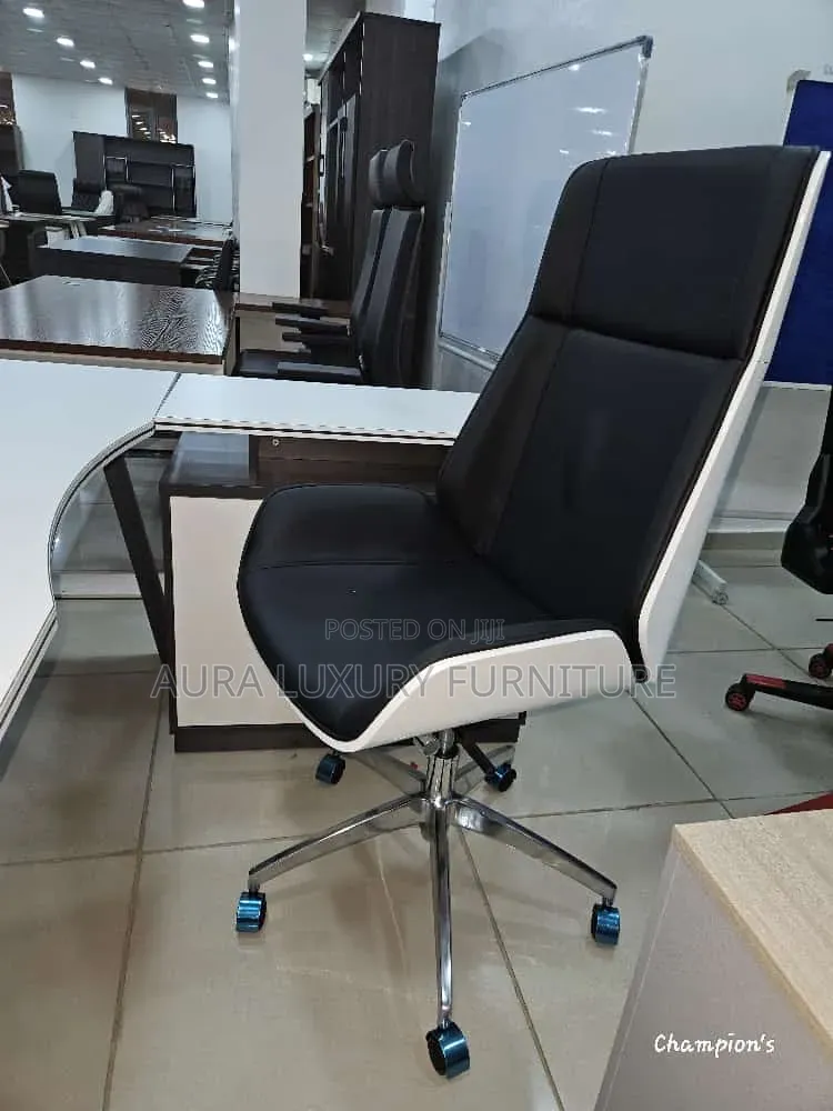 Ergonomic Modern Chair