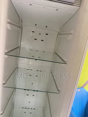Quick Freeze, Frost Free Chiller