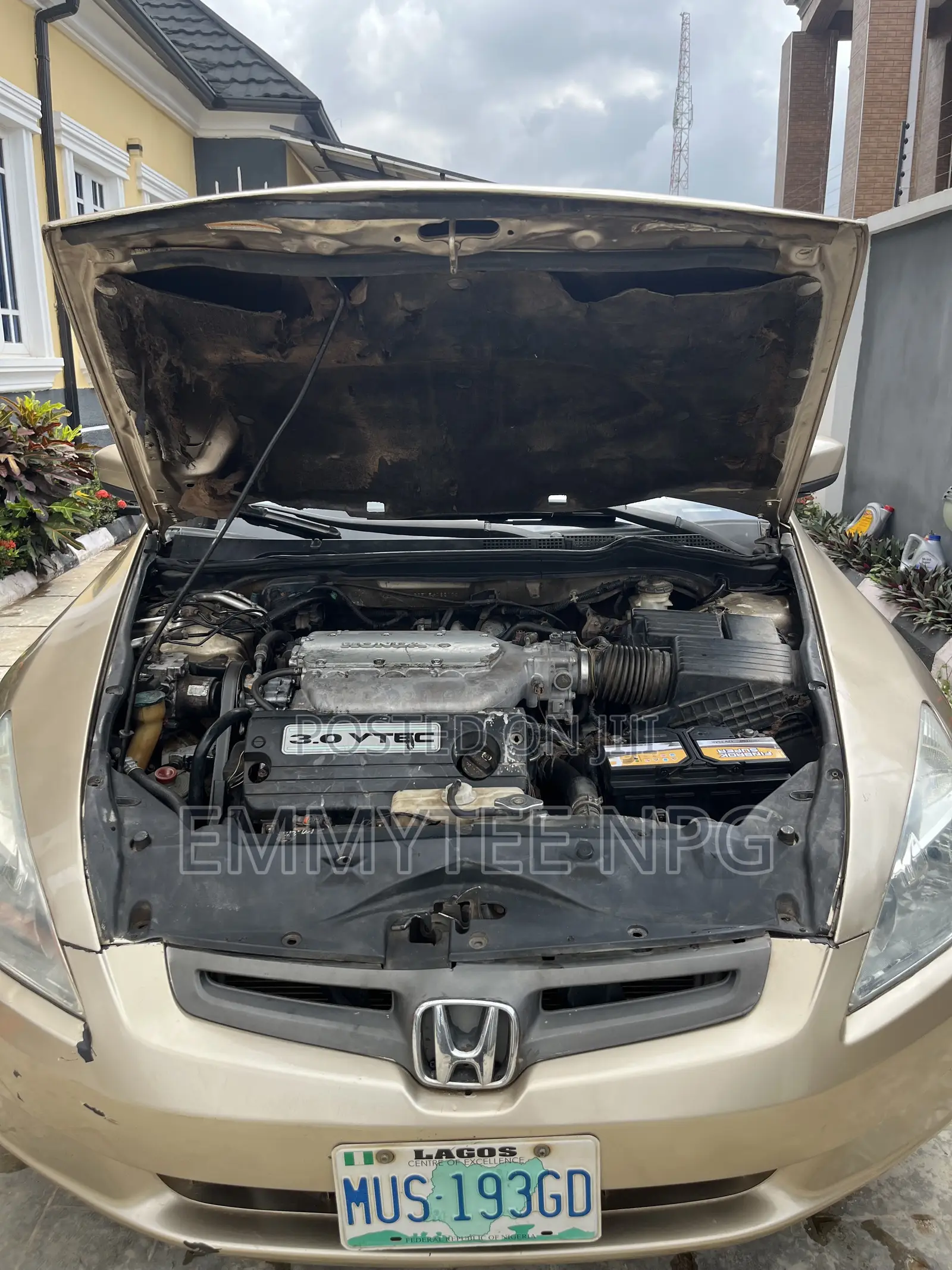 Honda Accord Automatic 2005 Gold