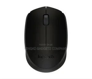 M171 Logitech Wireless Mouse