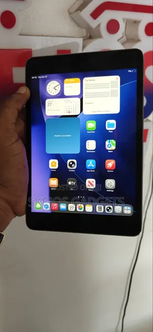 Apple iPad mini 5 (2019) 256 GB Gray