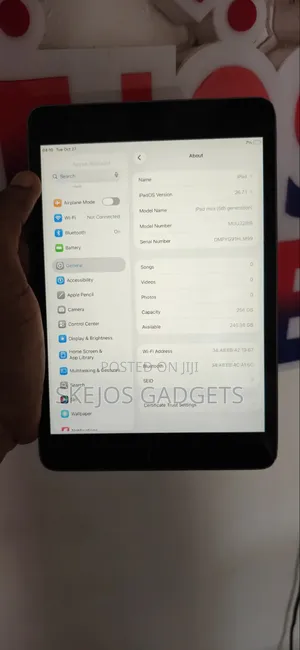 Apple iPad mini 5 (2019) 256 GB Gray