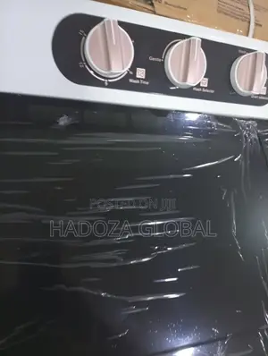 Maximum Capacity, Minimal Effort: Skyrun 11kg Family Washer