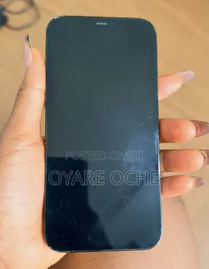 Apple iPhone 12 Pro Max 256 GB Blue