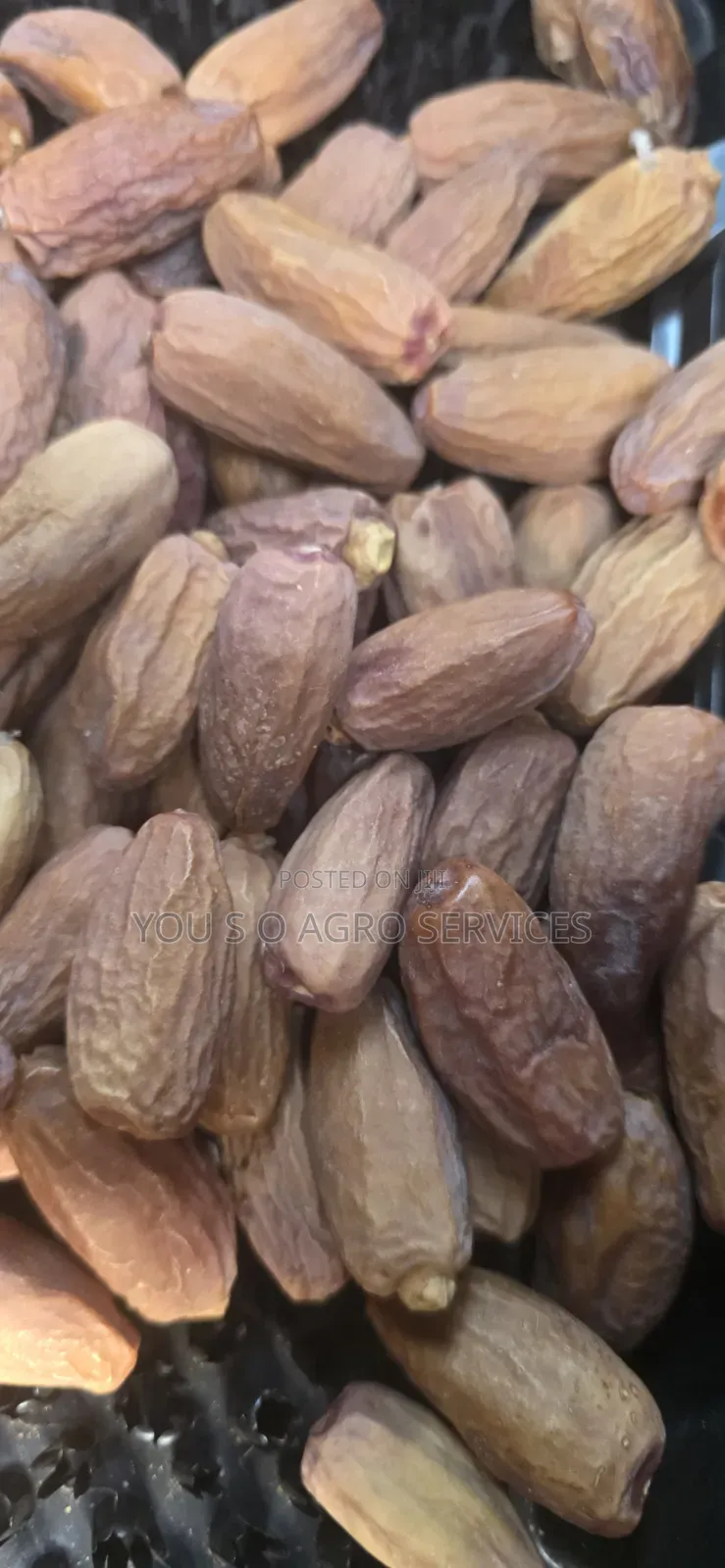 Clean and Sweet Dates (Dabino) From Niger