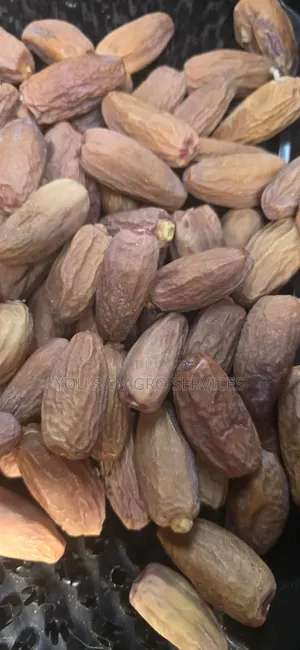 Clean and Sweet Dates (Dabino) From Niger