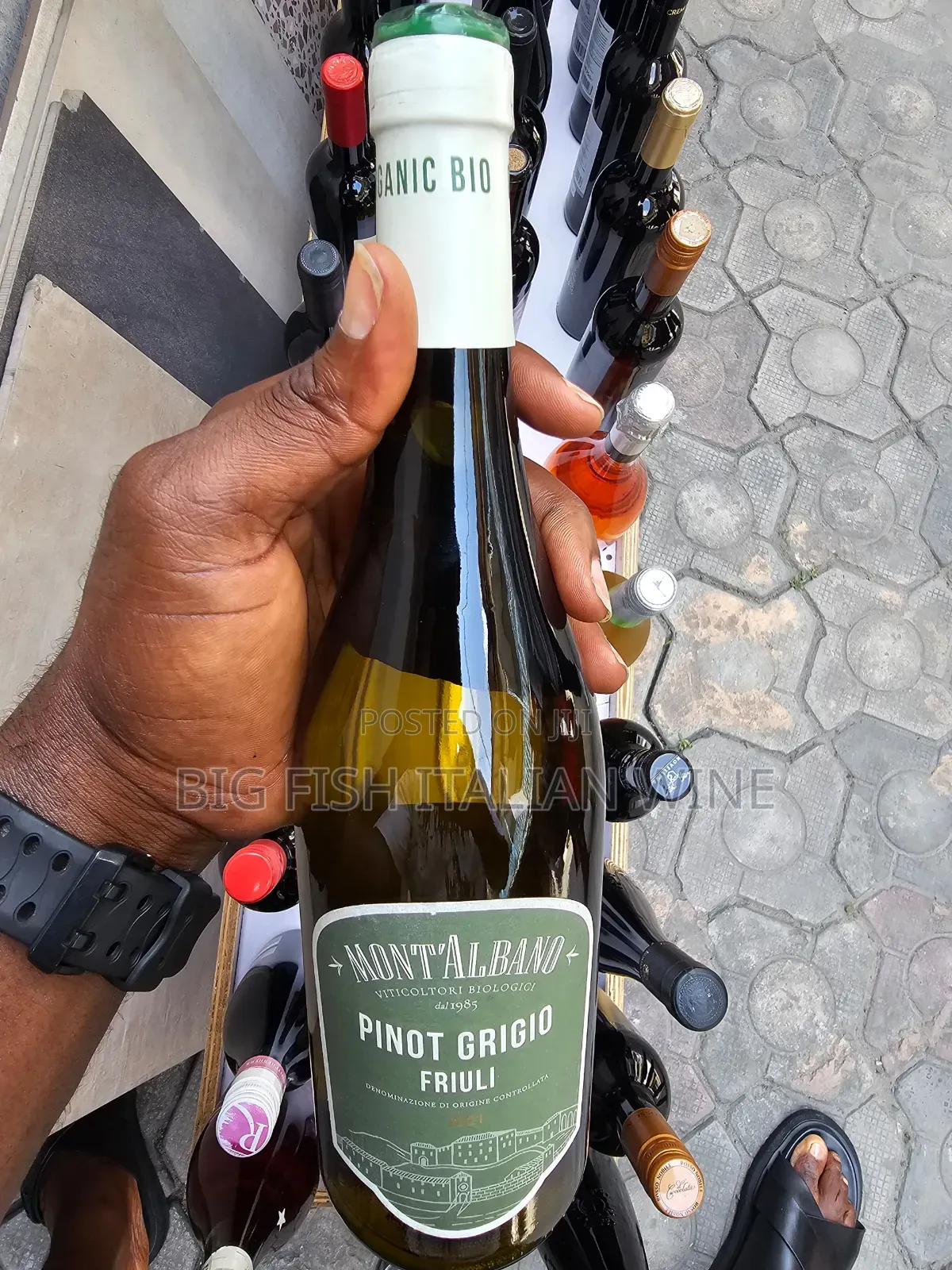 Pinot Grigio Friuli