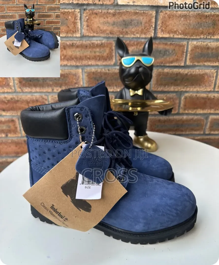Luxury Shoe