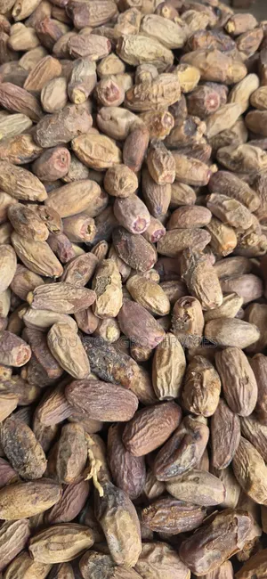 Dates (Dabino) From Niger