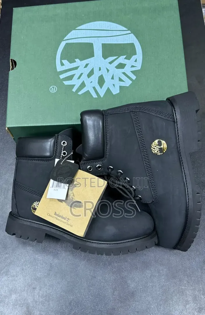 Luxury Shoe