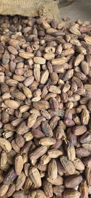 Dates (Dabino) From Niger