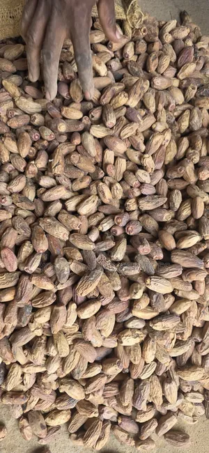 Dates (Dabino) From Niger