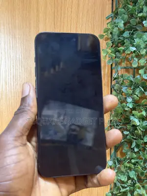 Apple iPhone 15 Pro Max 256 GB Black