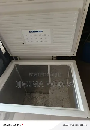 Liebherr Chest Deep Freezer
