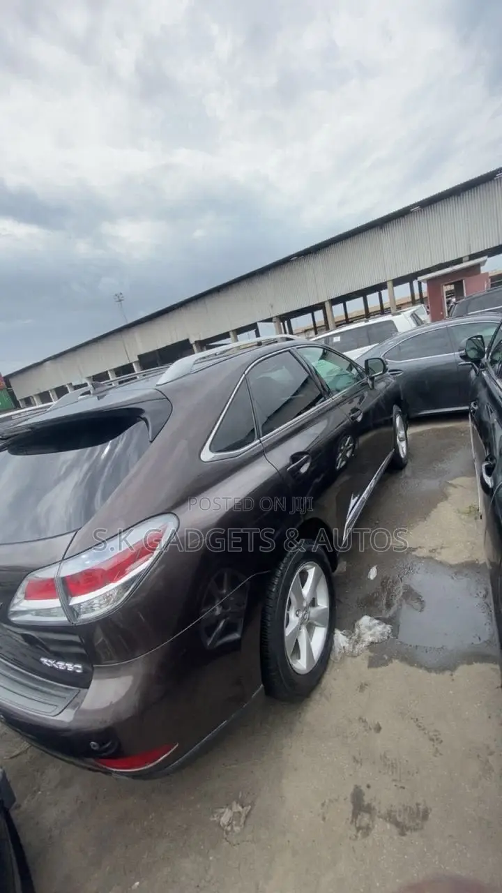 Lexus RX 2013 Brown