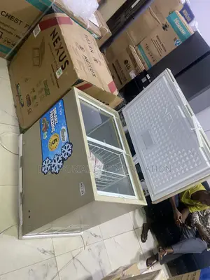 Nexus 207L Inverter Freezer Model NX-265HEI for Shop Owners