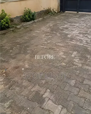Top-Tier Professional Cleaning Services: Residential in Abuja