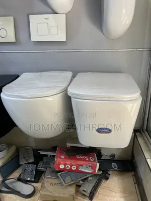 Wall Mounted Toilet Set