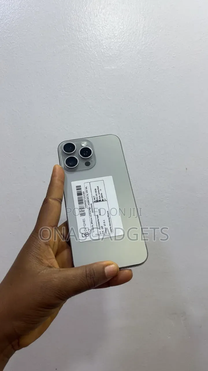 Apple iPhone 15 Pro Max 256 GB Silver