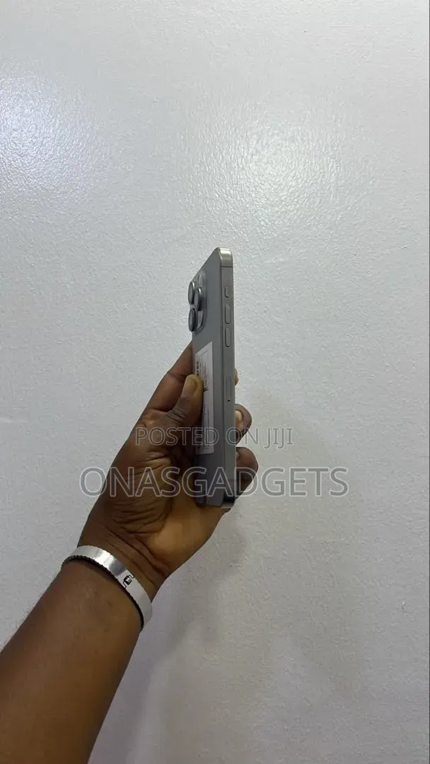 Apple iPhone 15 Pro Max 256 GB Silver