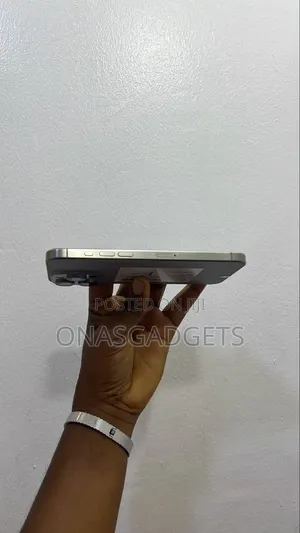 Apple iPhone 15 Pro Max 256 GB Silver