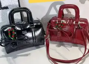Premium Quality Handbags for Women