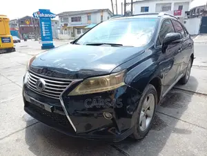Lexus RX 2010 Gray