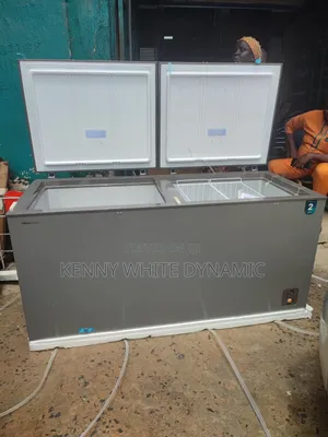 Hisense Double Door Freezer Model FC66DD