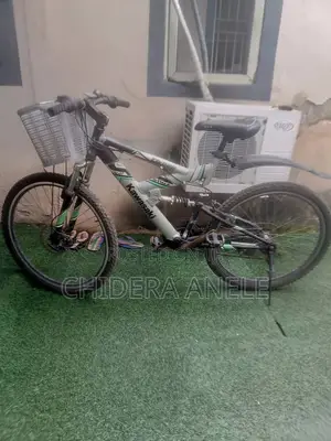 Kawasaki DX 226 Bicycle - Fairly Used