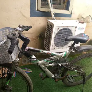 Kawasaki DX 226 Bicycle
