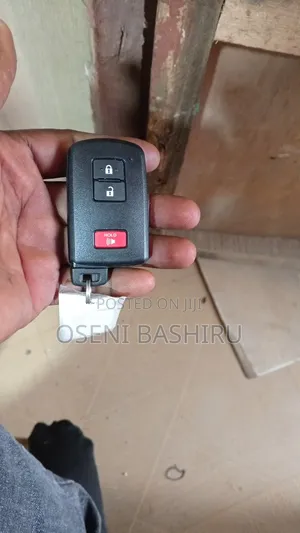 Professional Locksmith