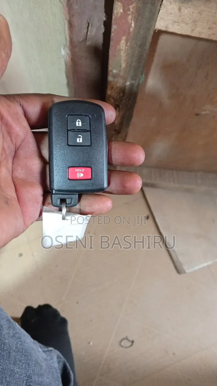 Professional Locksmith