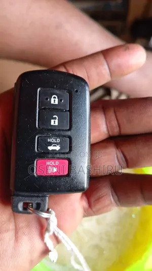 Professional Locksmith