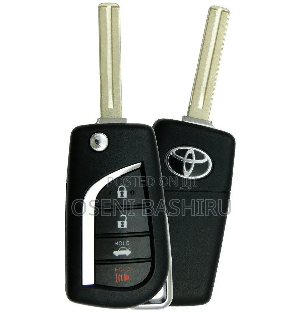 Professional Locksmith