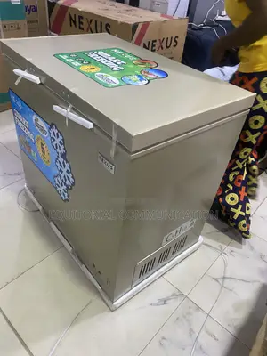 Nexus NX-265HEI 207L Inverter Freezer for Frozen Food Sales