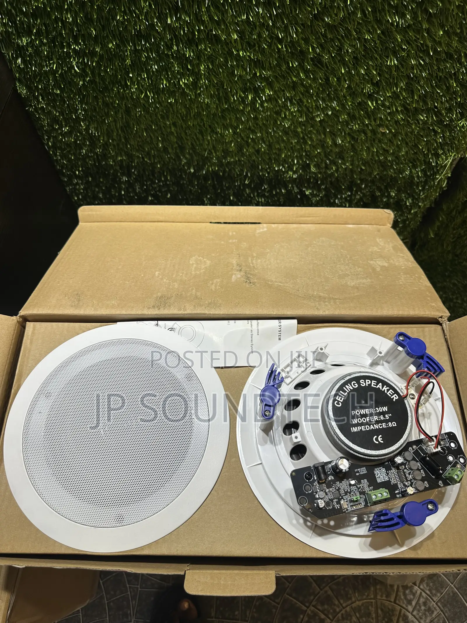 2 in 1 Frame Bluetooth Ceiling Speaker