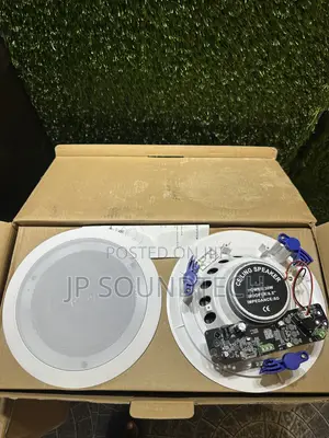 2 in 1 Frame Bluetooth Ceiling Speaker