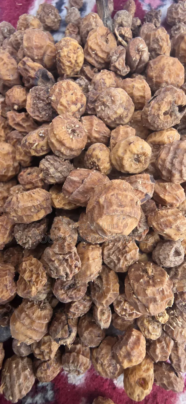 Mayan Aya Tigernuts