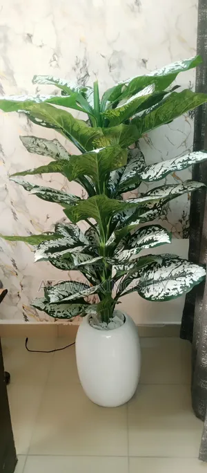 Flower and Vase