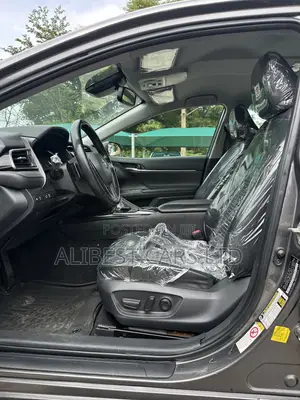 Toyota Camry 2019 Gray