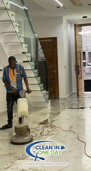 Professional Cleaning and Fumigation IN ONE DAY Services - Affordable