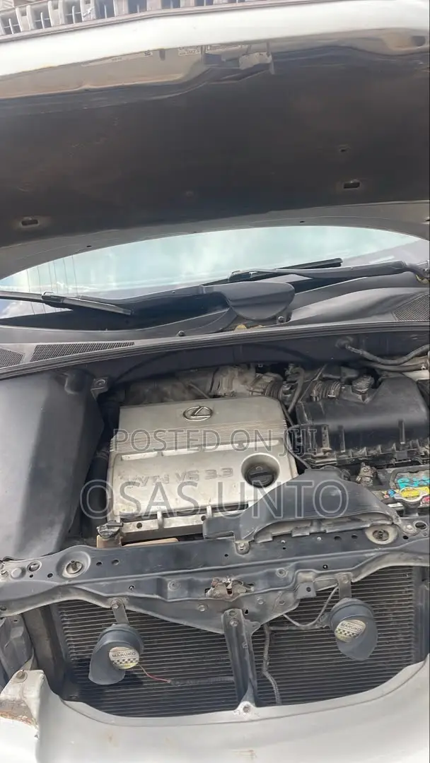 Lexus RX 2005 Silver
