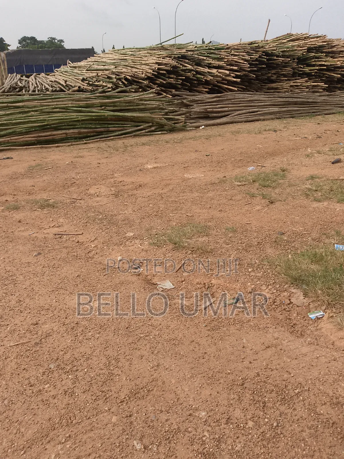 Bamboo Sticks Seller