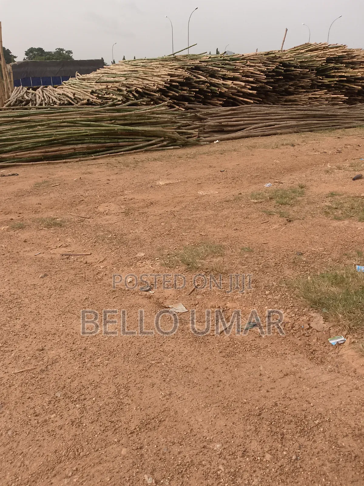 Bamboo Sticks Seller
