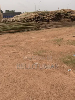Bamboo Sticks Seller
