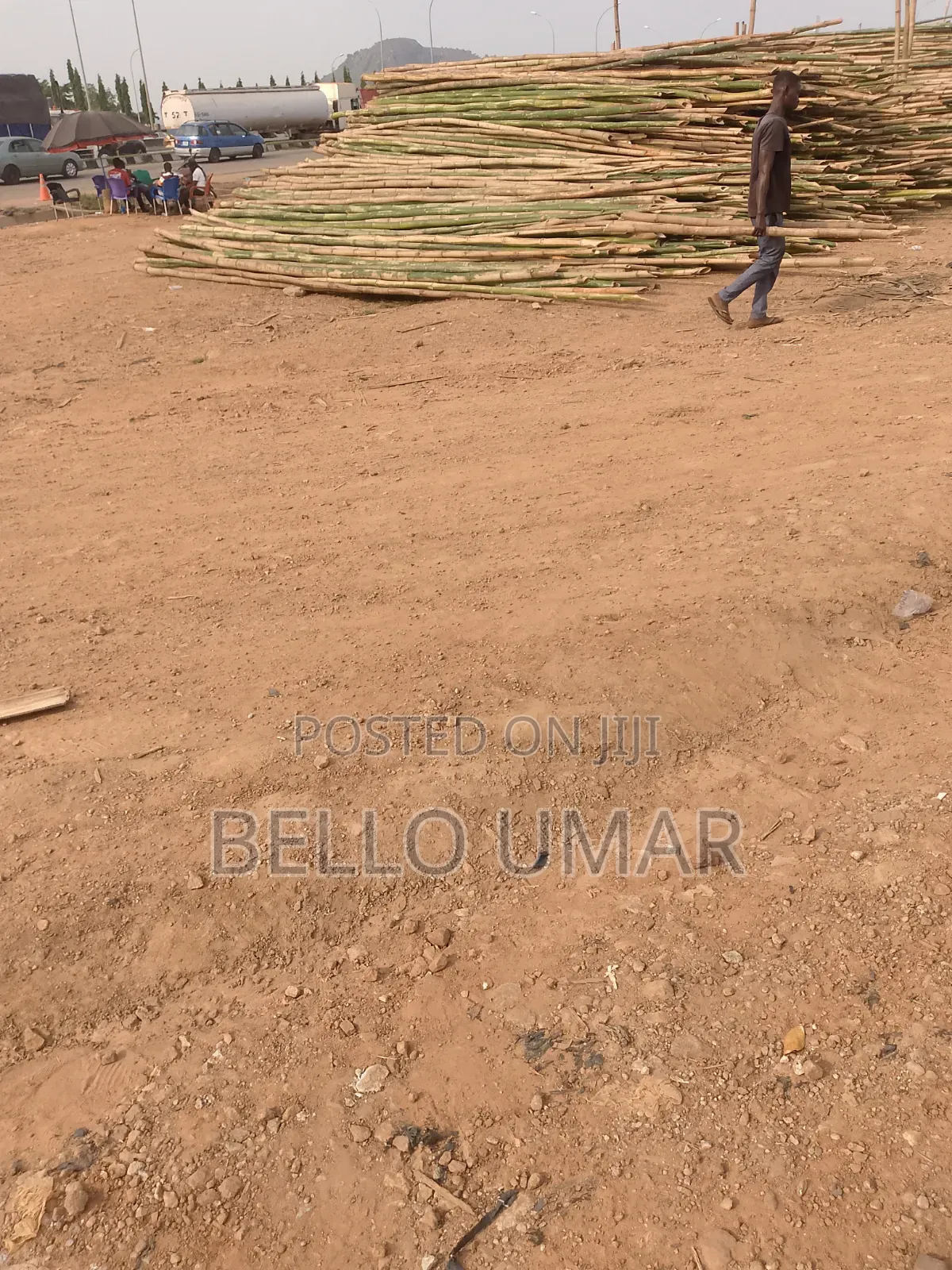 Bamboo Sticks for Sell