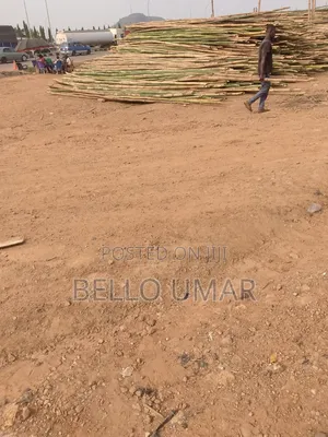 Bamboo Sticks for Sell