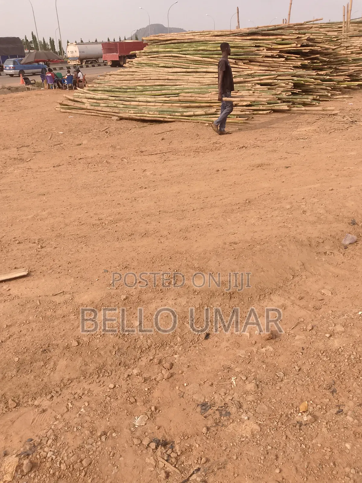 Bamboo Sticks for Sell